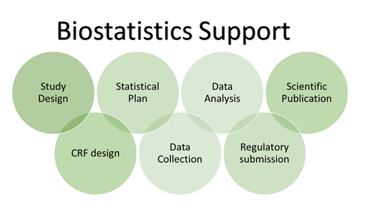 Biostatistics And Medical Writing – Dr. Klinisch